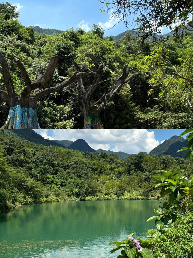 白水寨徒步攻略：征服2199級台階的挑戰與美景