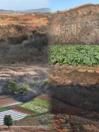郧陽恐龍蛋化石群國家地質公園