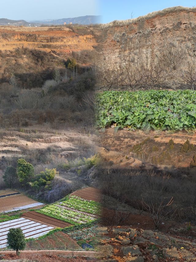 郧陽恐龍蛋化石群國家地質公園