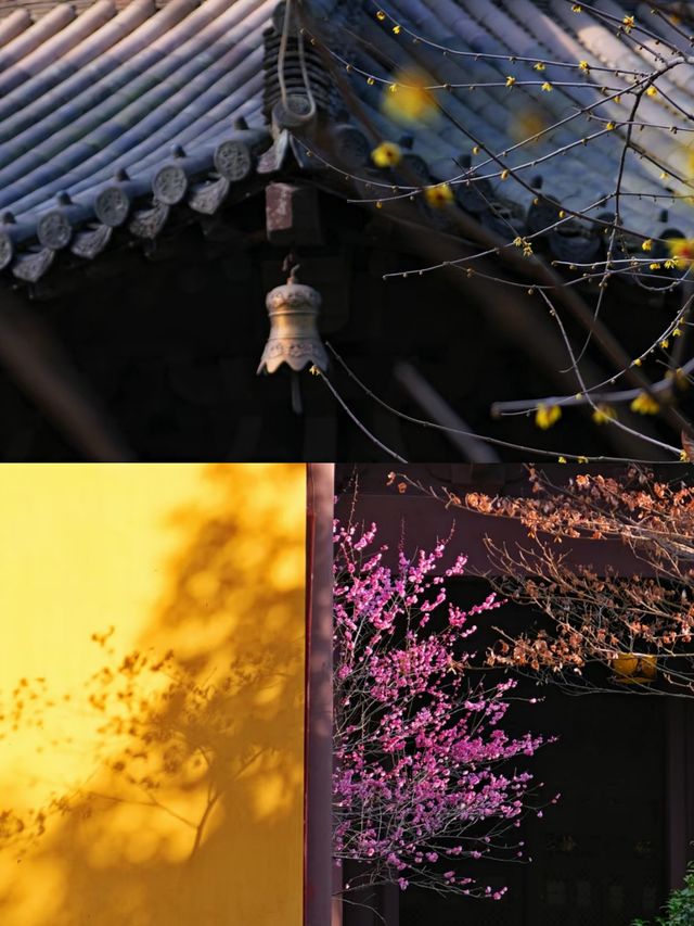 杭州小眾景點‖一日遊打卡避坑攻略