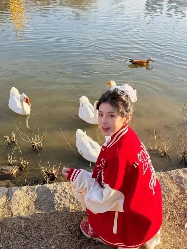 洛陽‖不愧是九州池隨手就是大片