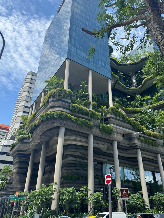 邂逅森林大廈，感受自然能量