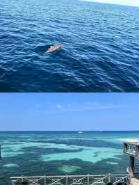 來呼拉島遊玩攻略