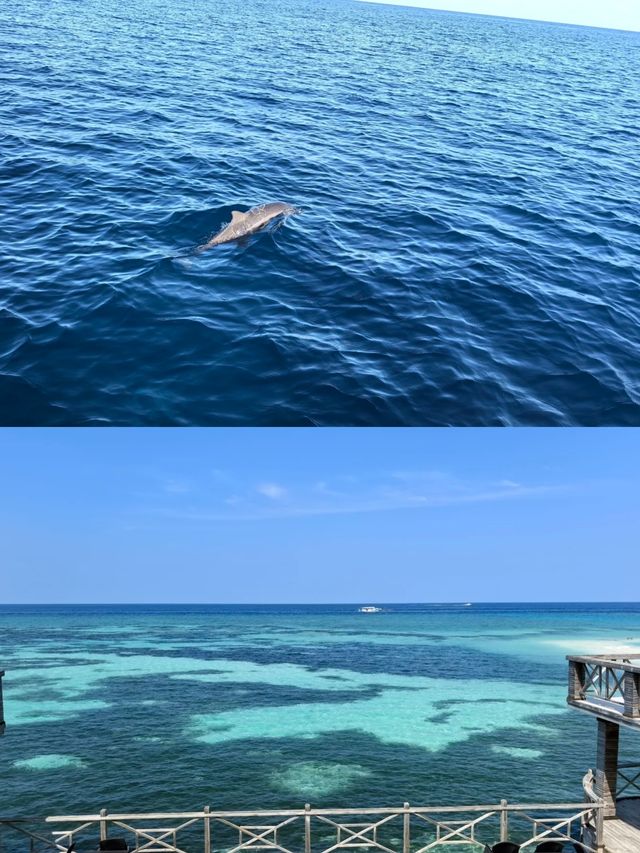 來呼拉島遊玩攻略