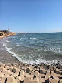 海邊日記︱西港花園今日實況