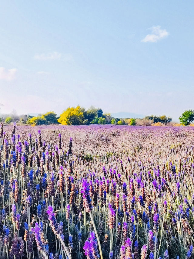 Kunming Dianchi Greenway