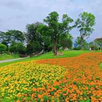 絕美拍照聖地，隨手一拍都是大片！🌸