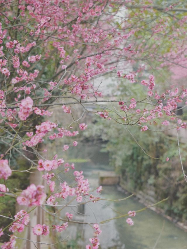 青石板舊屋簷，快加入你的周末治愈清單