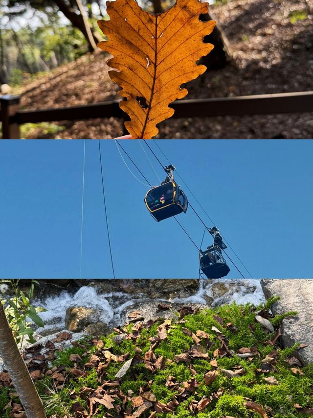 探秘原州｜解鎖小眾寶藏旅行地