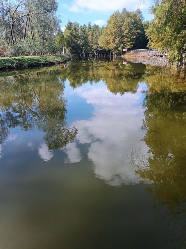崇明島西沙濕地～一個畫一樣嘅地方