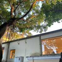 🇲🇴澳門散步奇遇！大樹下的浪漫咖啡館Parloir 58b