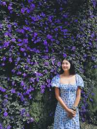 48 Hours in Cameron Highlands 🇲🇾 
