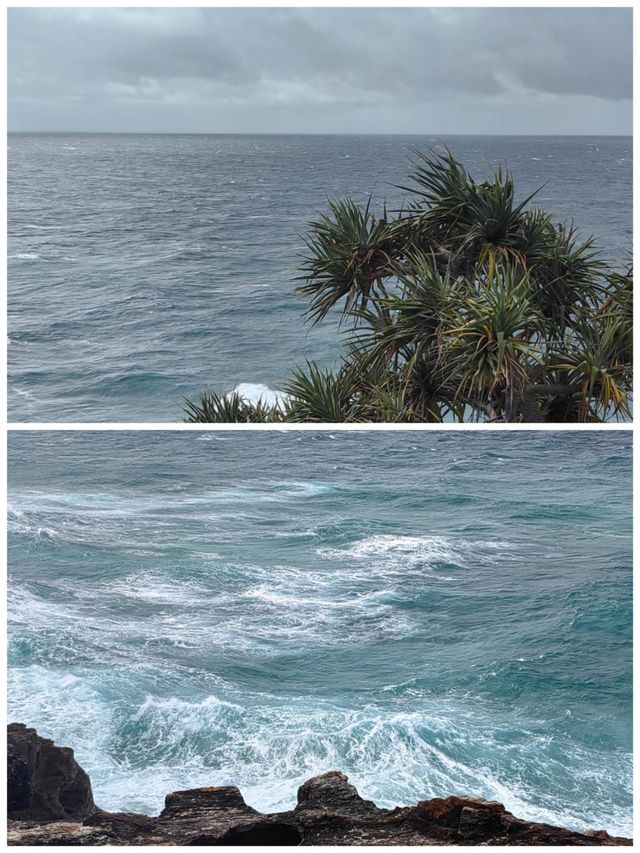 澳洲北斯特拉布魯克島嘅神仙之旅 
