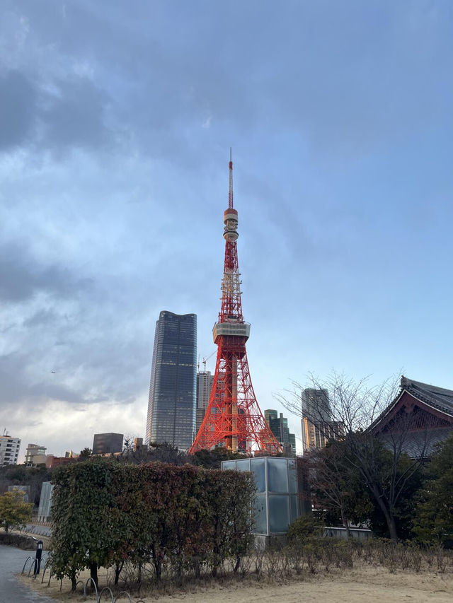 東京市區邂逅油菜花海🌼 浪漫滿分