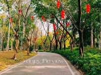 Tianhe Park: The True Green Wonder in The Industril Core