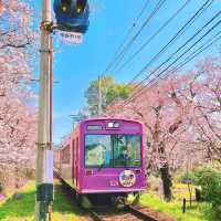 🌸京都岚山 | 坐電車追櫻去啦🌸
