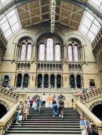 From Screen to the UK's Museum Amazing