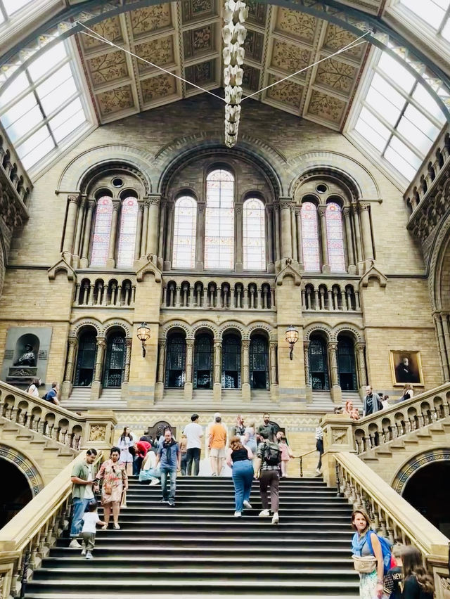 From Screen to the UK's Museum Amazing
