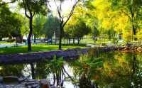 廊坊市自然公園：城市中的綠色寶藏
