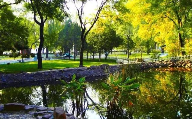 廊坊市自然公園：城市中的綠色寶藏