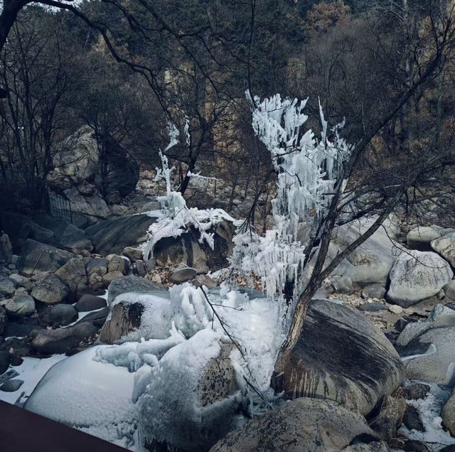 來青島不去崂山？那真的是白來了