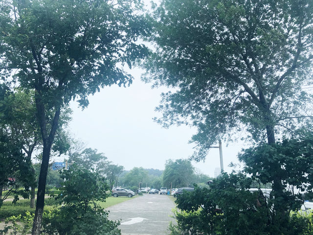東戴河遊玩分享