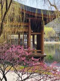 Nothing blends Modern and Traditional Architecture quite like this...