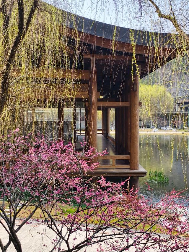 Nothing blends Modern and Traditional Architecture quite like this...