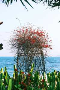 來深圳旅遊，這個海邊必去！
