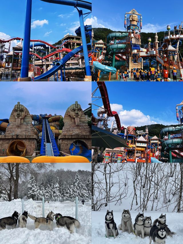 韓國洪川郡：小眾寶藏旅行地