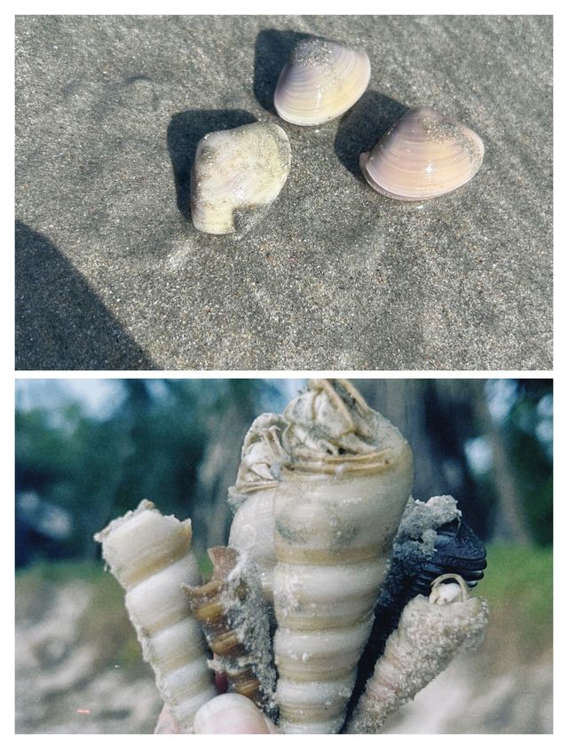 被低估的泰國寶藏地，拉廊帕延島全攻略。