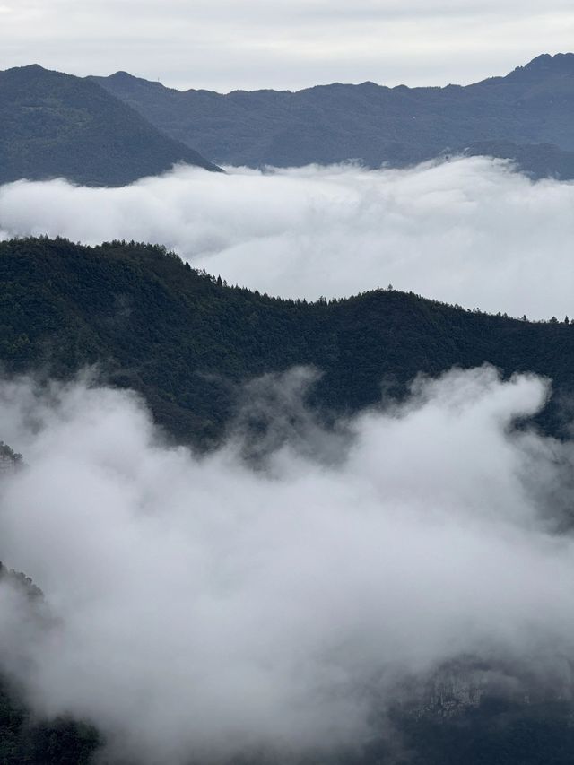 6日重慶等地理想行程規劃清明時節 你一定得來