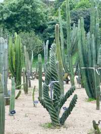 東莞植物園 帶你認識從未見過的各種各樣植物新生命