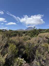 The Infamous Set Of Lord Of The Rings, Mount Tongariro Pass