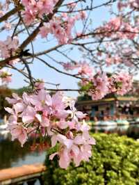 寶墨園，超級精美的嶺南園林✨