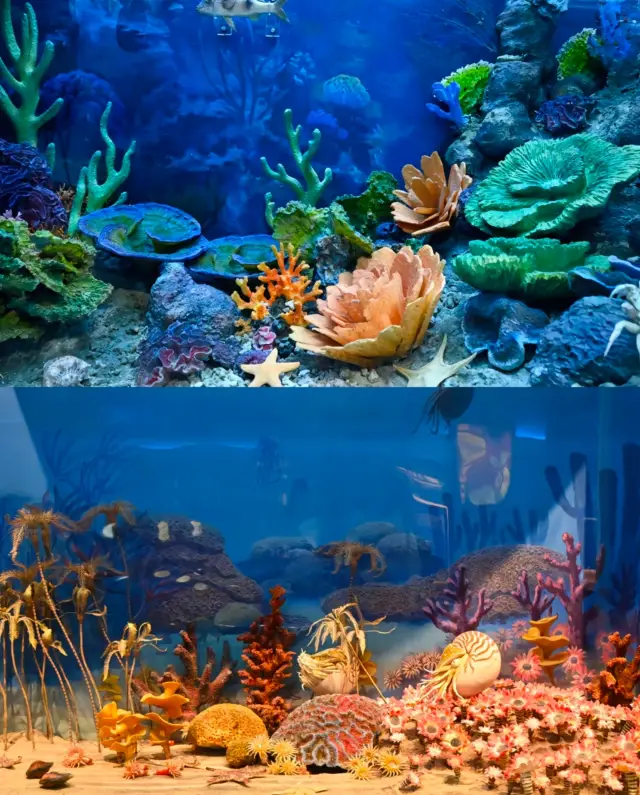 คู่มือเที่ยวชมพิพิธภัณฑ์ธรรมชาติแห่งชาติ