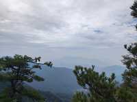 藍田王順山森林公園|秦嶺“小黃山”