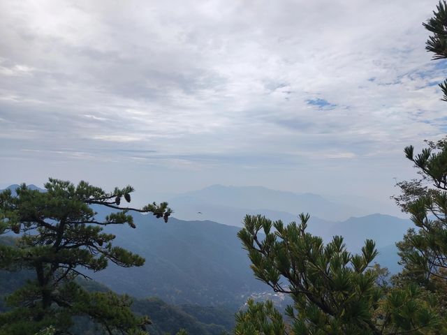 藍田王順山森林公園|秦嶺“小黃山”