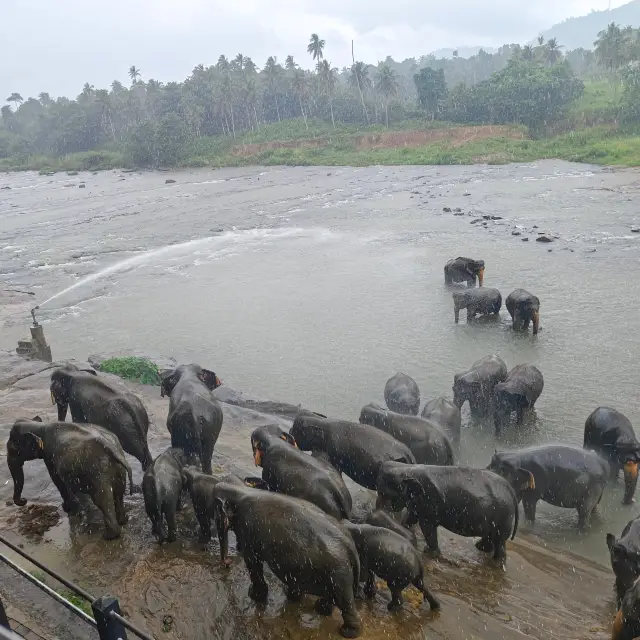 Sri Lanka Travel