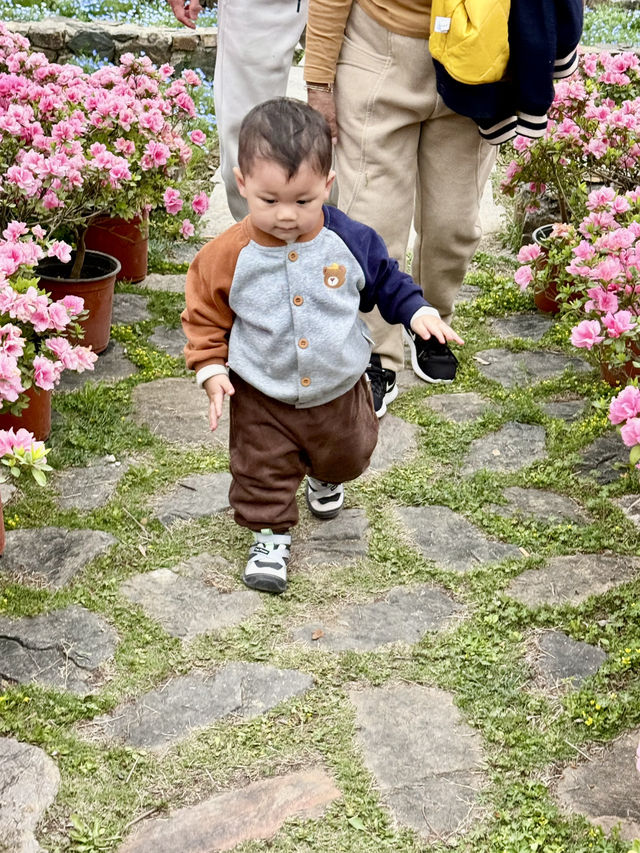 Afternoon @ Nanshan Ranch