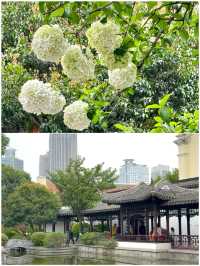 五·一出逃計劃｜親子遊5城，高鐵仲可以直達