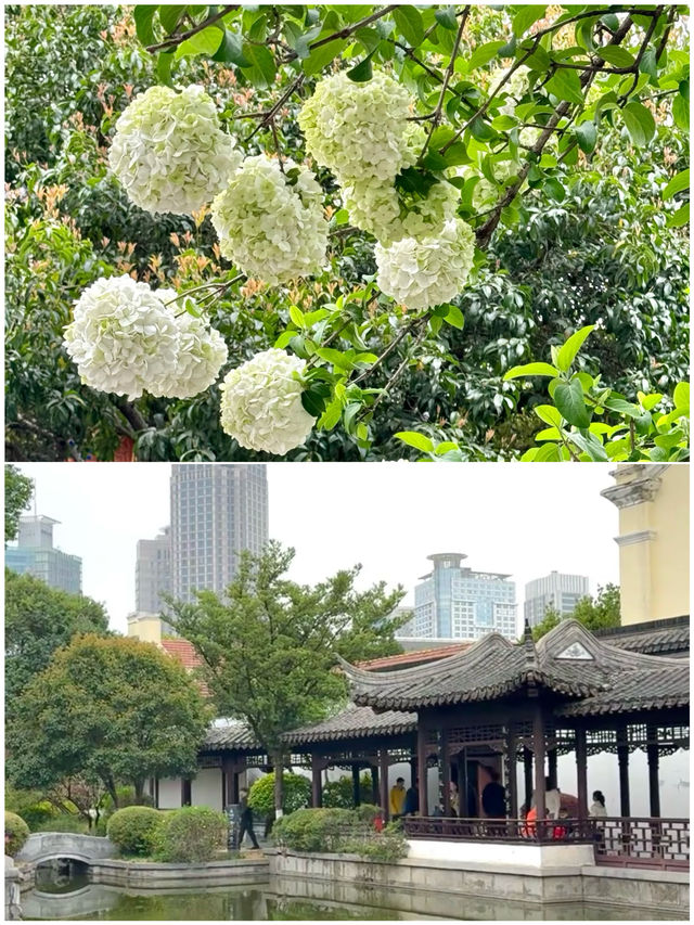 五·一出逃計劃｜親子遊5城，高鐵仲可以直達