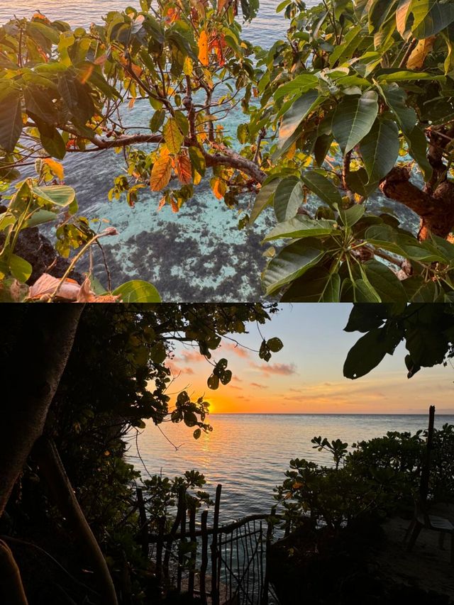 薄荷島最強攻略來了