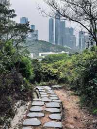 小橫琴山體步道：珠海的隱世仙境