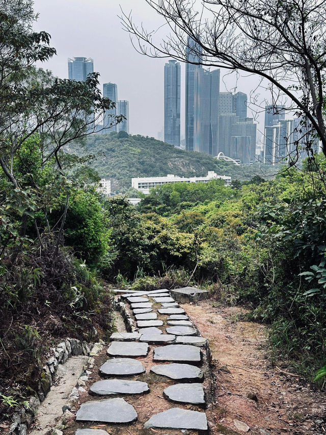 小橫琴山體步道：珠海的隱世仙境