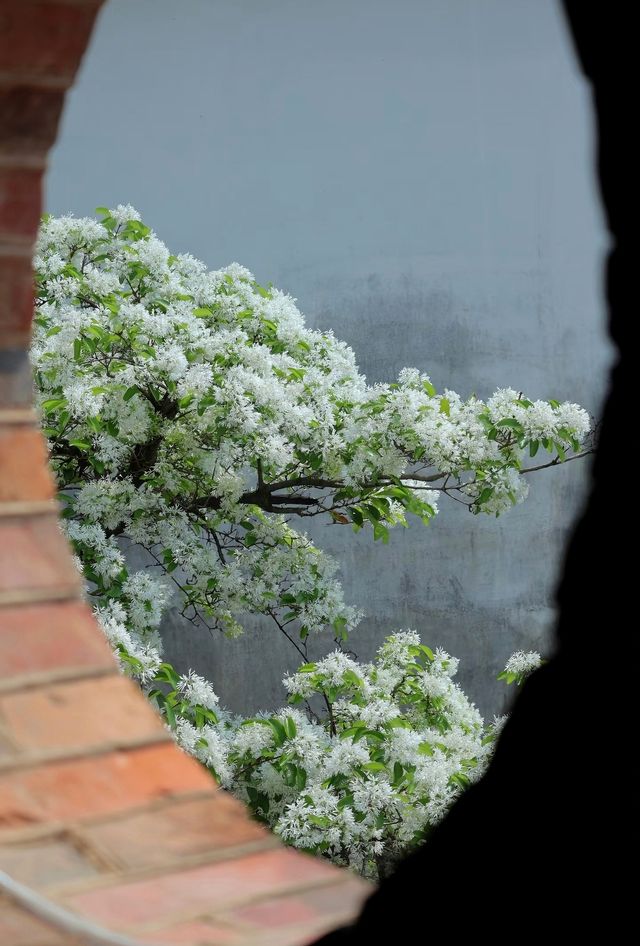 閨蜜週末福州逛街攻略