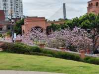 福州之行 - city walk (煙台山公園/ 閩江之心/ 解放大橋/ 茉莉大街)