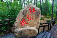 漠河至呼倫貝爾7天6晚盛夏極光之旅