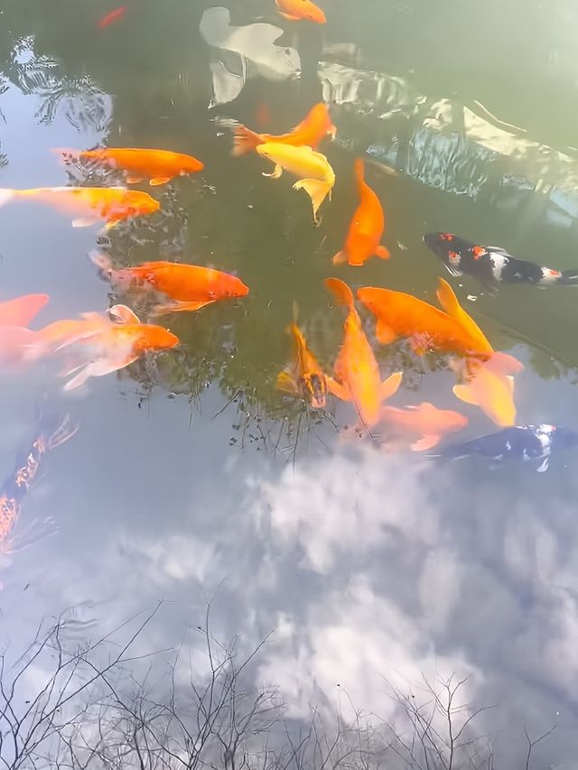 在漳州！住在風景裡，太舒服了！