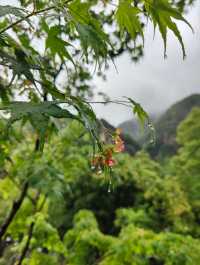 春雨中的千絲岩石文化公園